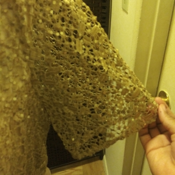 Champagne dress with sparkly lace bodice - Picture 5 of 7